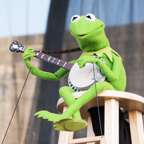 10 Kermit Newport Folk Fest Concert Photo 2.jpg