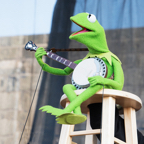 12 Kermit the Frog Newport Folk Fest Concert Photo 1.jpg