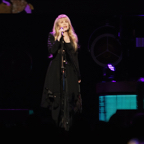 Stevie Nicks TD Garden Boston Concert Photo 3.jpg